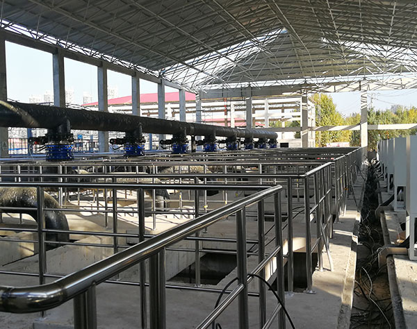 �w�S���V��ʹ�ìF(xi��n)��(ch��ng)